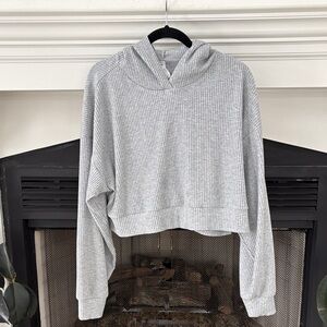 ALO Yoga Heather Gray Cropped Hoodie